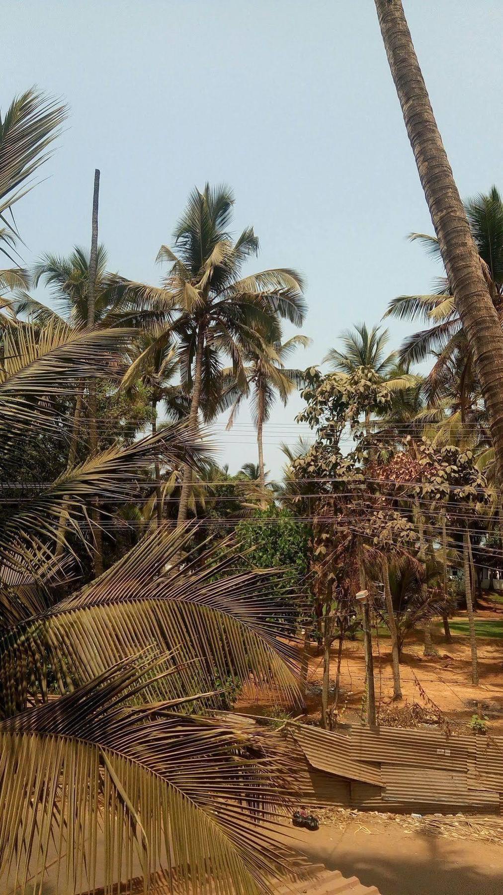 Hotel Shiva Ashvem Ashvem Beach Exterior foto